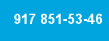 917 851-53-46